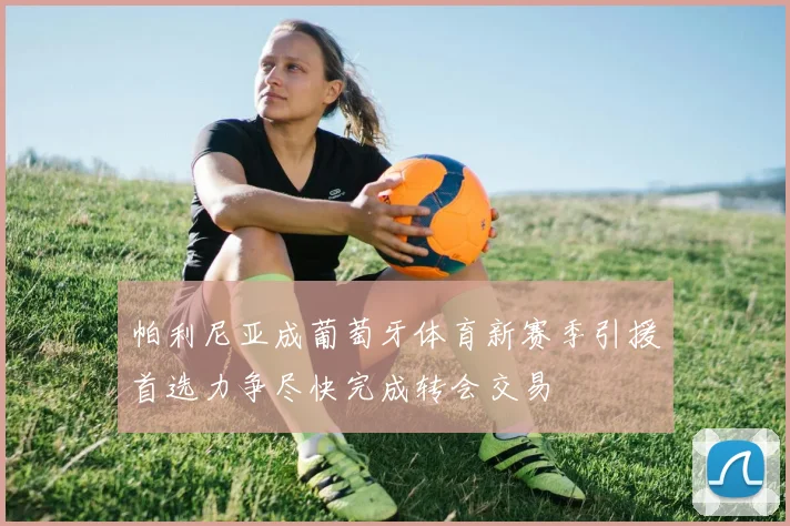 帕利尼亚成葡萄牙体育新赛季引援首选力争尽快完成转会交易