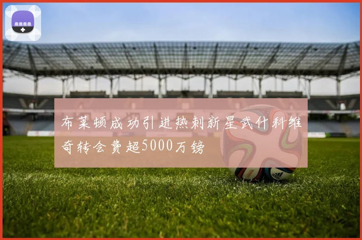 布莱顿成功引进热刺新星武什科维奇转会费超5000万镑